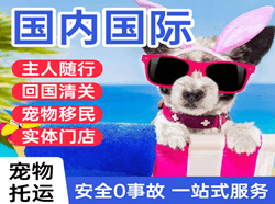 北戴河机场快递国际宠物托运 【国